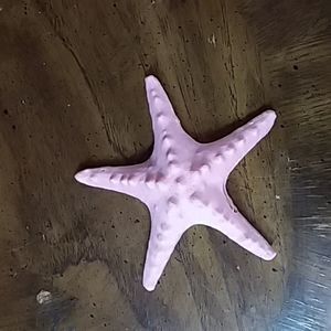 3D printed PLA plastic starfish bank.